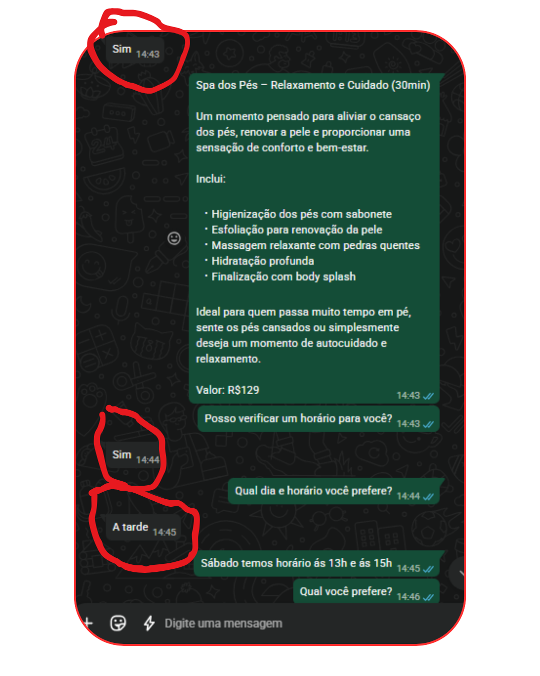 Depoimento 5 — conversa real de venda no WhatsApp