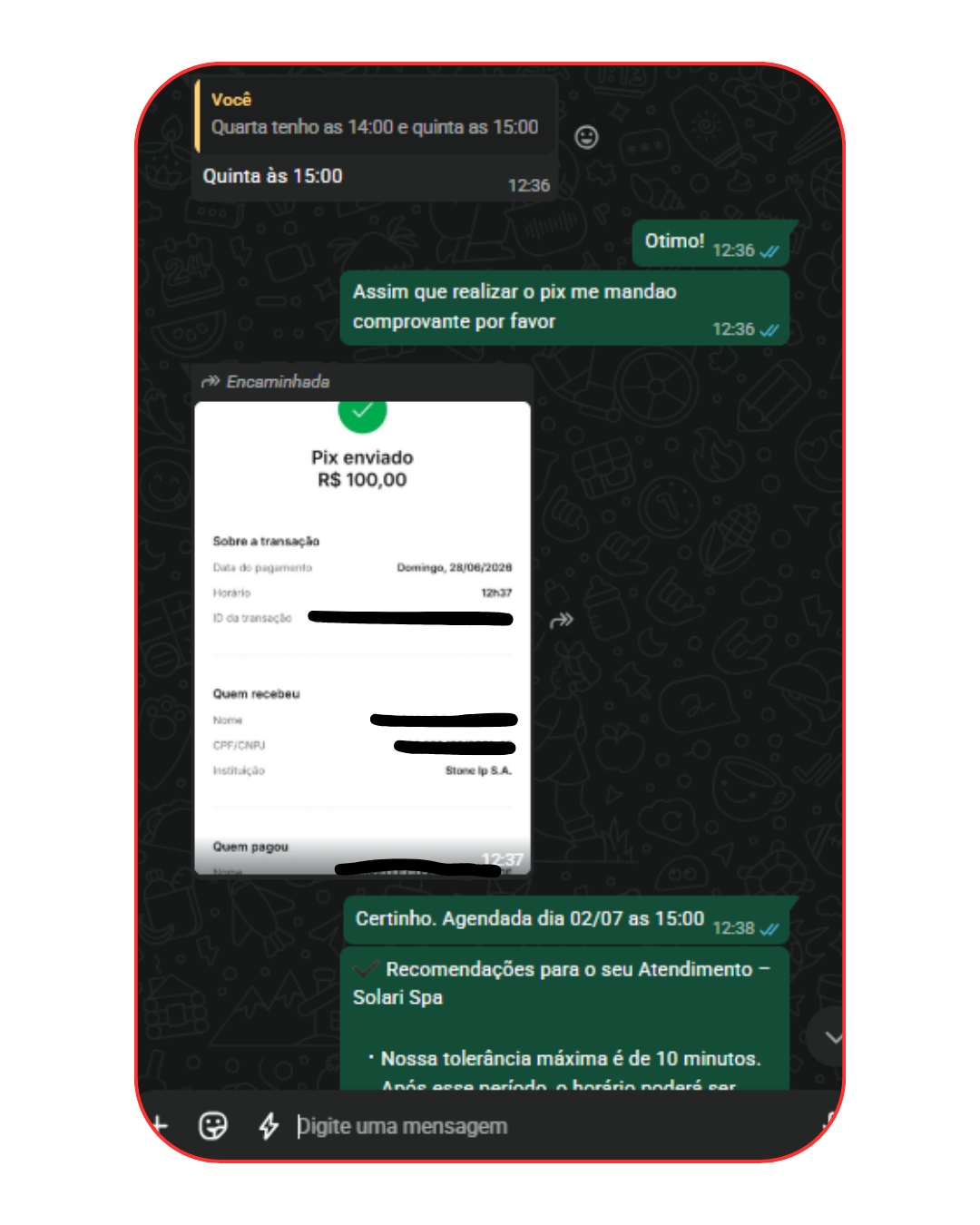 Depoimento 2 — conversa real de venda no WhatsApp